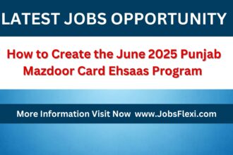 How to Create the June 2025 Punjab Mazdoor Card Ehsaas Program