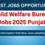 Child Welfare Bureau Jobs 2025 Punjab