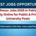 Professor Jobs 2025 in Pakistan