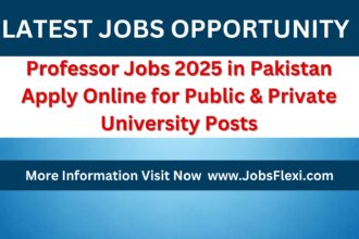 Professor Jobs 2025 in Pakistan