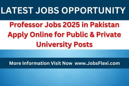 Professor Jobs 2025 in Pakistan